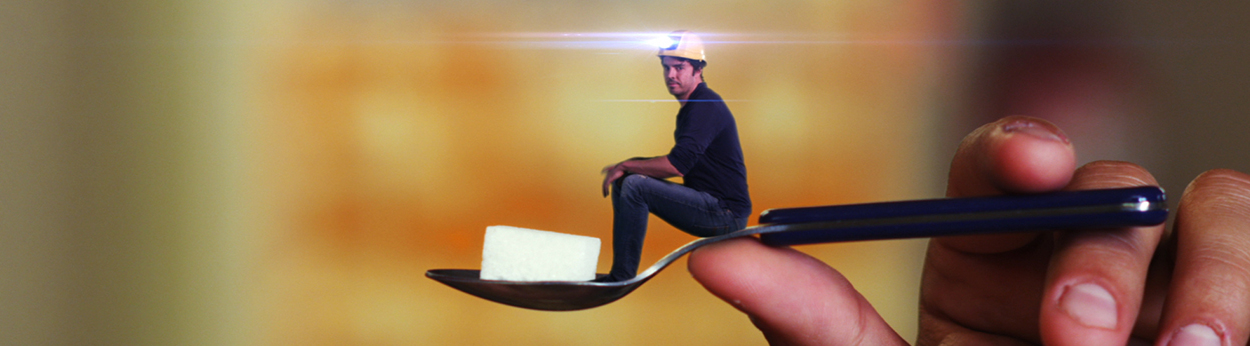 that-sugar-film-feat-img